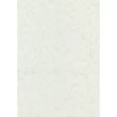 Sencys Vinylbehang Overschilderbaar 10+3m Gratis - Wit - 13m X 52cm