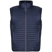 Regatta Heren Eerlijk Gemaakt Geïsoleerd Gerecycled Gilet (Marine)