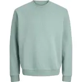 Jack & Jones Sweatshirt 'JJBradley' aqua