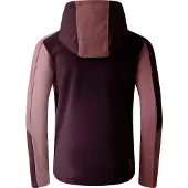 Dare 2b Kinder/Kids Thriving IV Fleecejack (Diepe pruim/Lila's)