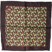 Dolce&Gabbana Bruin Cactusprint Vierkante Zakdoek Sjaal
