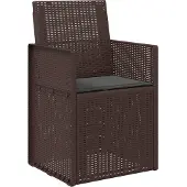 vidaXL Tuinstoelen 2 st Bruin en antracietkleurig PP