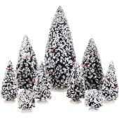 Luville Wintergroene boom | Assorti | 9 stuks