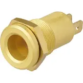 Proplus Inbouwdoos DIN 12V messing