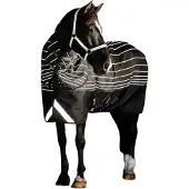 Horseware 1200D FieldSafe Reflectech Plus Turnout 50g Zwart/Reflecterend & Zwart 145