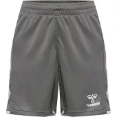 Hummel Sportbroek 'Core 2.0' grijs / wit
