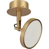 UMAGE LED spot Asteria Spot, Ø 12 cm, messing dimbaar, messing / goud, Woon-/ Eetkamer, Aluminium, Design, LED plafondlamp