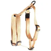 Martin sellier Tuig voor hond nylon uni beige 20 mmx50-70 cm