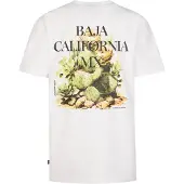 Petrol Industries Shirt 'Corrido' groen / zwart / wit