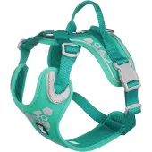 Hurtta - Hondentuig - Weekend Warrior - Harness voor Honden - Kleur: Peacock - 60-80 cm
