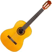 Cordoba Protege Classical Case