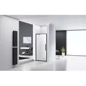 Van Rijn ST04 nisdeur helder glas 90cm zwart