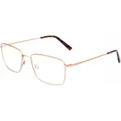 FLEXSON Flexon FLEXON H6081 Matte taupe 55/18/145 MAN Brilmonturen