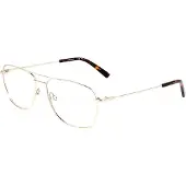 FLEXSON Flexon FLEXON H6065 Gold 56/15/150 MAN Brilmonturen