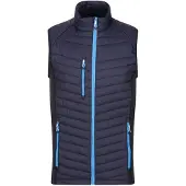 Regatta Heren Navigate Gewatteerd Hybride Gilet (Marine / Frans Blauw)