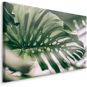Karo-art Schilderij - Close up Monstera Blad, Groen, Premium Print