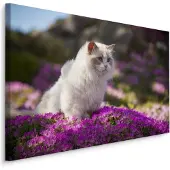 Karo-art Schilderij - Ragdoll Kat tussen de Bloemen, Premium print