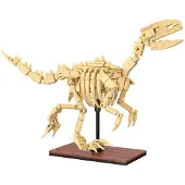 Cada | Creative Series - Dinosaur Fossils Velociraptor 256 Stuks