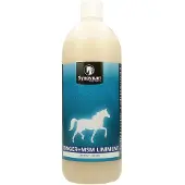 Synovium Ginger MSM Liniment