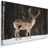 Karo-art Schilderij - Hert op de voorgrond, Premium Print