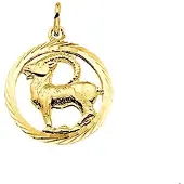 The Jewelry Collection Geelgouden Hanger sterrenbeeld steenbok gediamanteerd 4005633