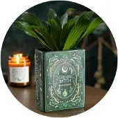 Something Different Green Witch Book Shaped Vase