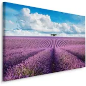 Karo-art Schilderij - Prachtig Lavendelveld , Wanddecoratie , Premium print