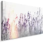 Karo-art Schilderij - Lavendel in zonsondergang , Wanddecoratie , Premium print
