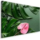 Karo-art Schilderij - Roze bloem met Monstera Bladeren, Premium Print