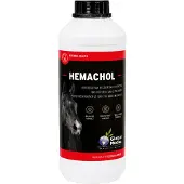 Global Medics Hemachol