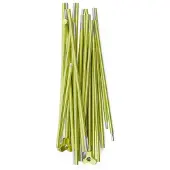 Stoic - NjavveSt. 2P Pole Set - Reserveonderdeel bright atomic