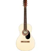 Kremona Steel String Series F16 Parlor westerngitaar met gigbag