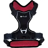 Petlando Trainingslijn Mesh Antraciet - Hondenriem - 300x1.5 cm