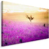 Karo-art Schilderij - Eenzame Boom in een Lavendel Veld, Premium Print