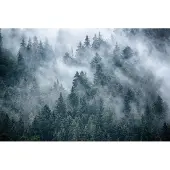 Karo-art Fotobehang Mistig Bos In De Bergen - Vliesbehang - 368 x 280 cm