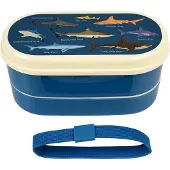 Rex London - Bento - Lunch box - Sharks print