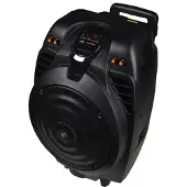 Sunstech MASSIVE-S10 50W Zwart luidspreker