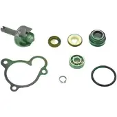 Dr Aa00806 Reparatieset Voor Waterpomp