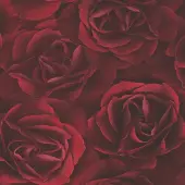 Rasch ROOD ROZEN BEHANG 3D VLIES