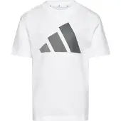 Adidas Functioneel shirt 'Essentials' grijs / wit