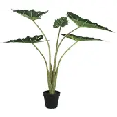 Ptmd collection PTMD Bloempot Alocasia - 60x76x80 cm - Polyester - Groen