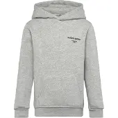 Björn Borg Essential 1 Hoodie Grijs | Maat: 122-128