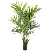 PrettyPlants Kentia Kunstpalm 180cm