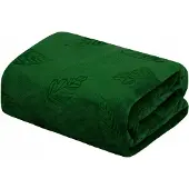 Domarex CALEN Deken Microflanel 130x170cm Groen - Zacht & Warm