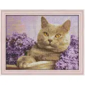 Beldizart Diamond Schilderijset Kat in Lila 40x30 cm AZ-1417