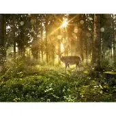 Karo-art 460cm X 300cm - Fotobehang - Hert in zonnig bos, premium print, inclusief behanglijm