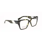 Ana Hickmann Optical Frame HI6309G G21 53