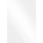 vidaXL Wandspiegel Rechthoekig 40 x 60 cm gehard glas