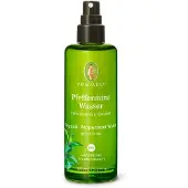 Primavera Peppermint water