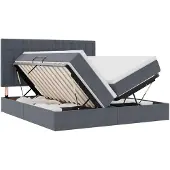 vidaXL LED opbergbed met matras Donkergrijs 200 x 200 cm Fluweel